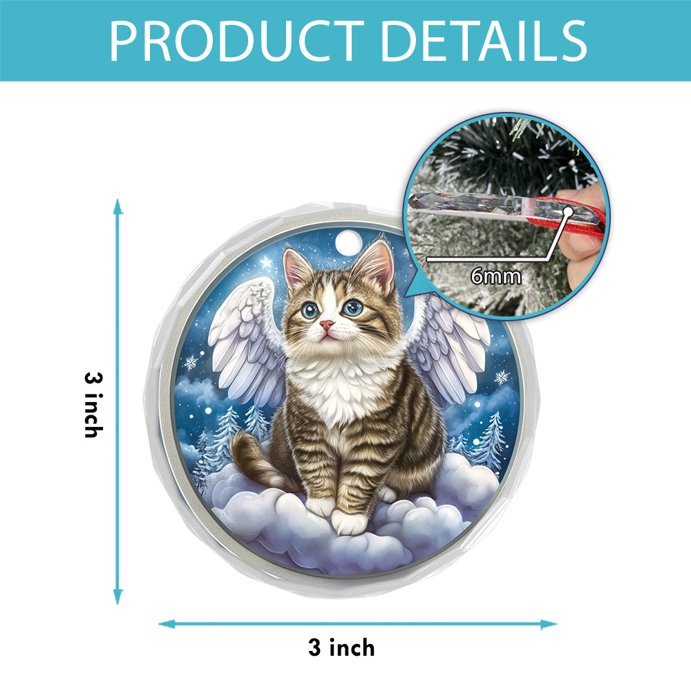 Angel American Shorthair Cat 1