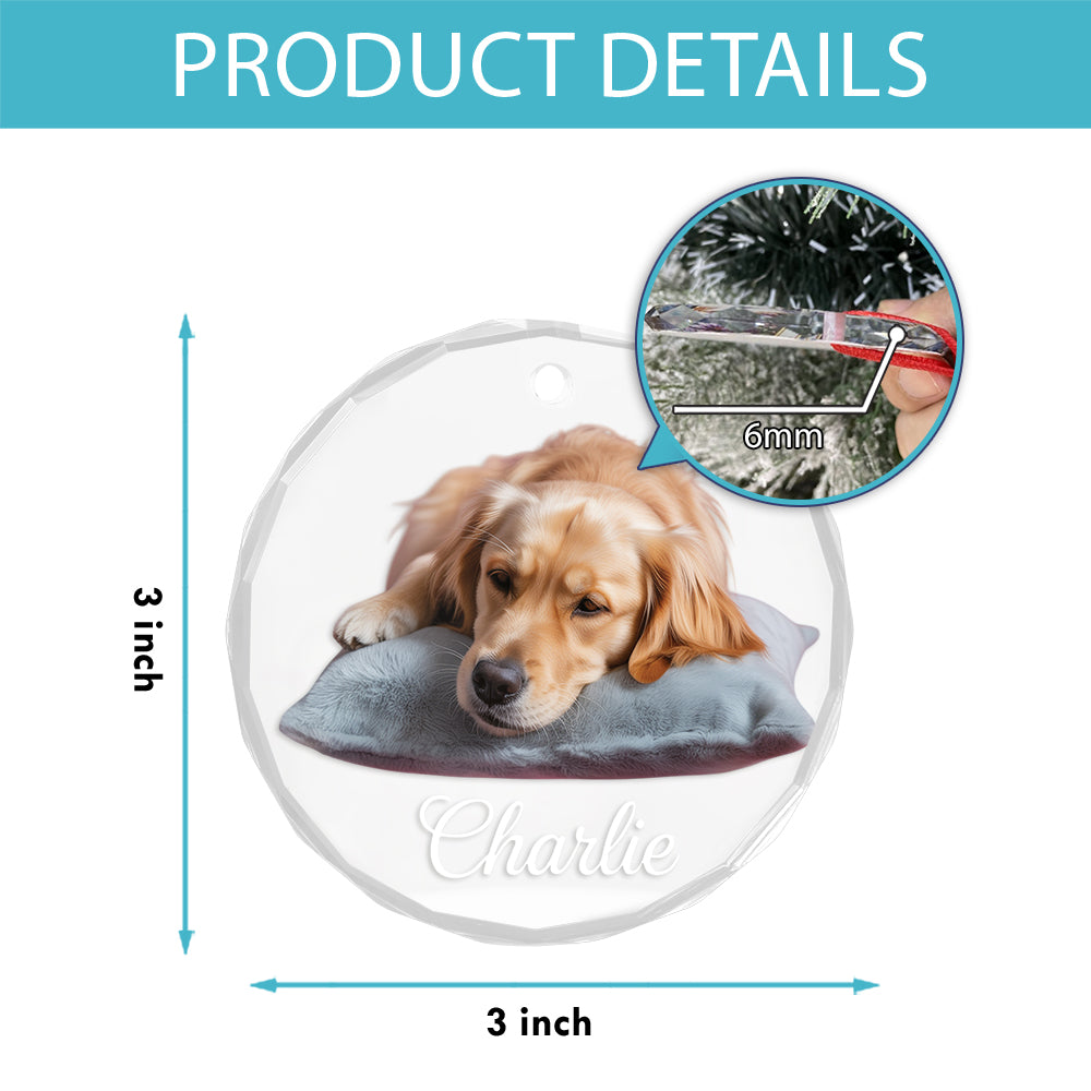 Custom Pet Name