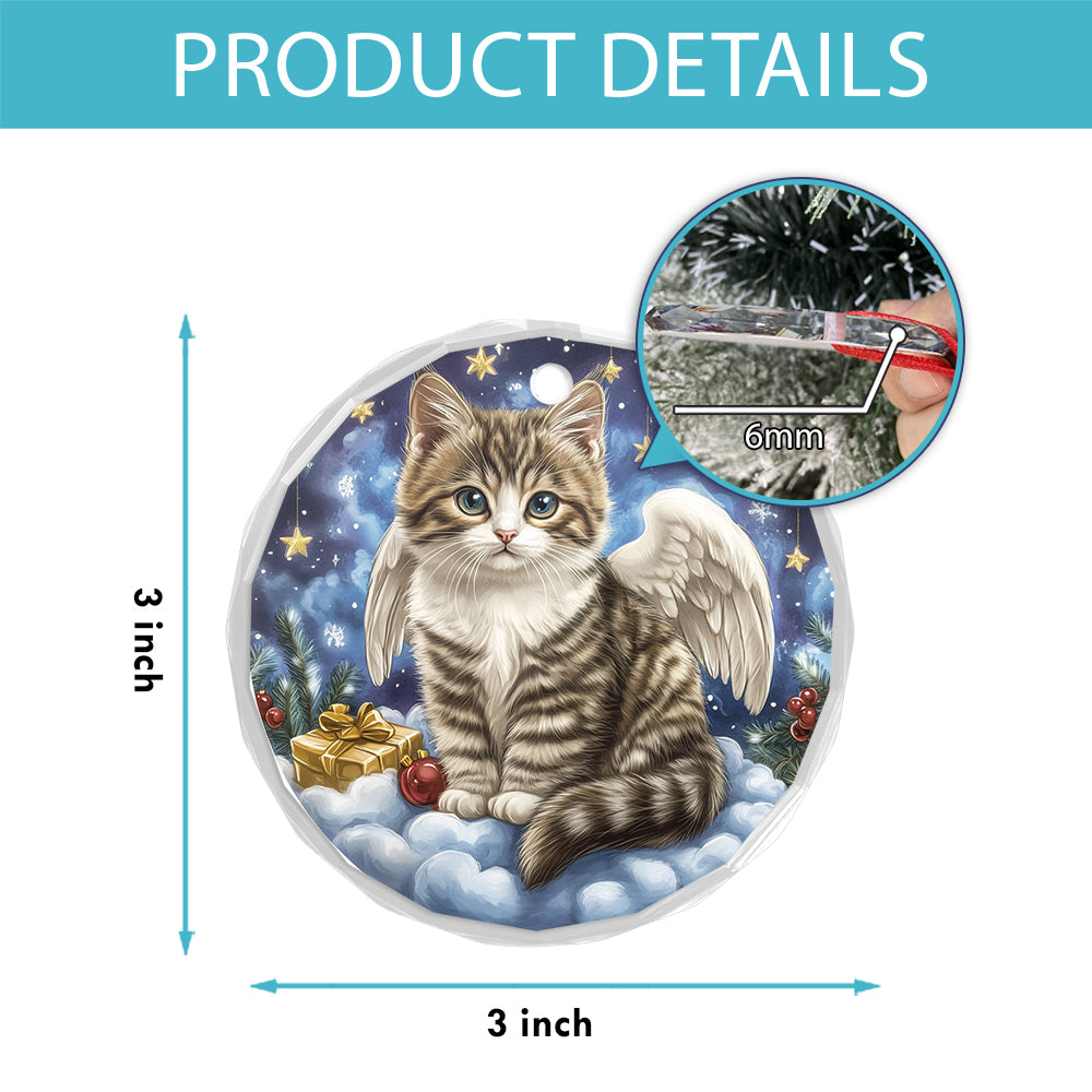 Angel American Shorthair Cat 2