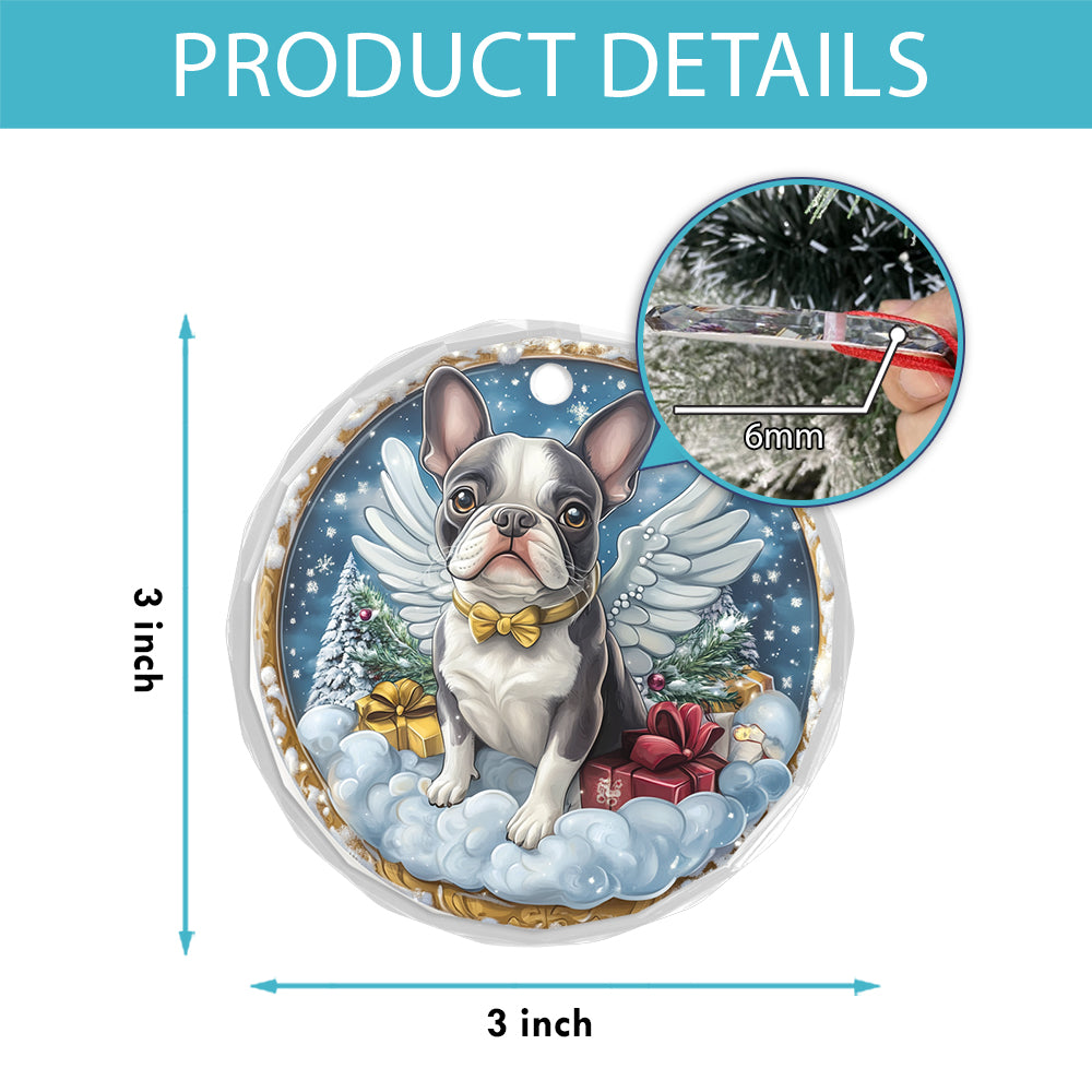 Angel Boston Terrier Dog 4