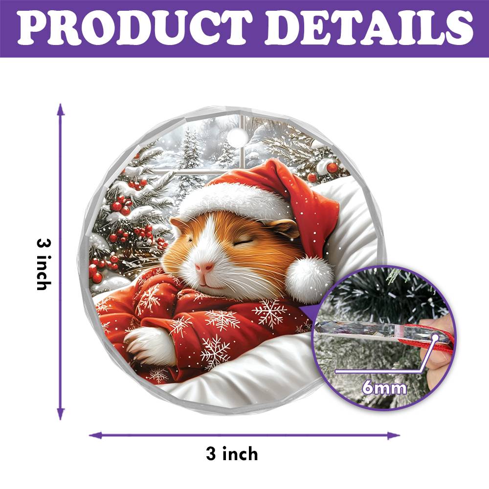 Guinea Pig Sleeping In Bed Design 3