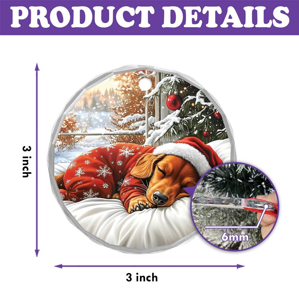 Dachshund Dog Sleeping In Bed Design 3