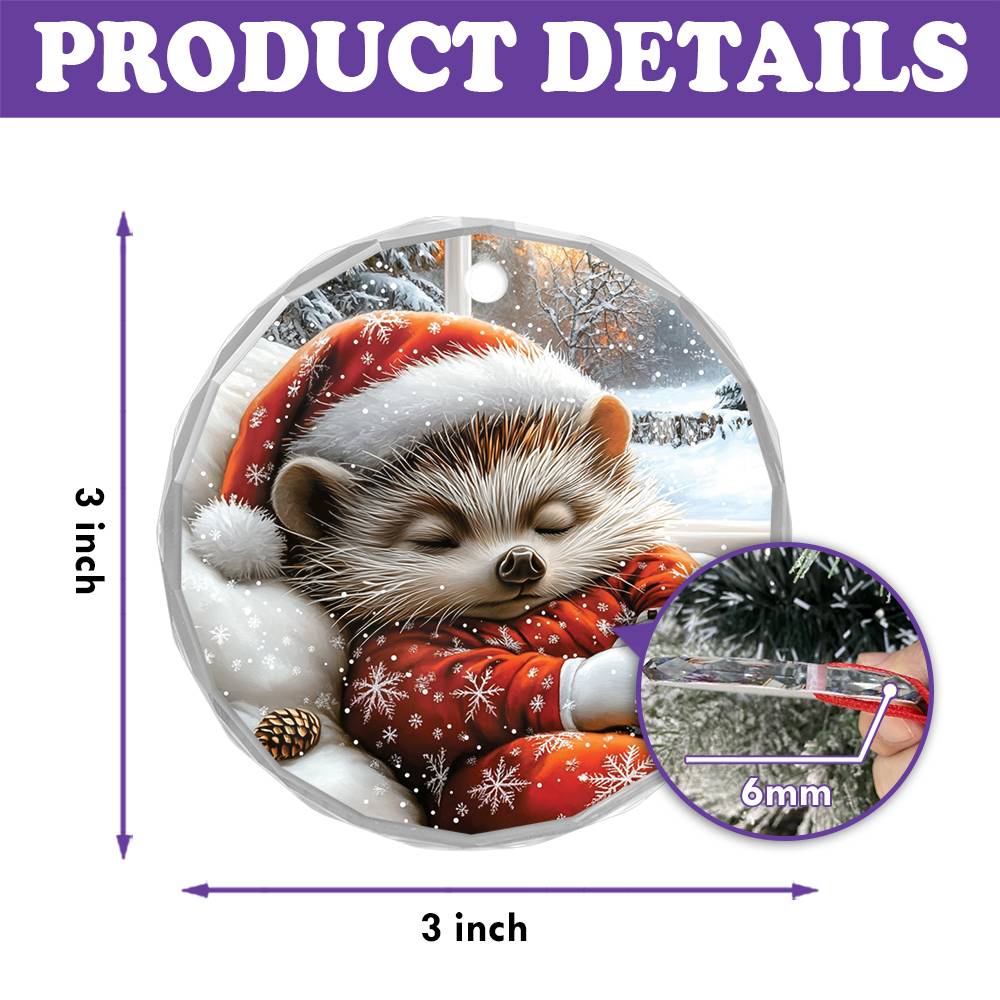 Hedgehog Sleeping In Bed Design 2
