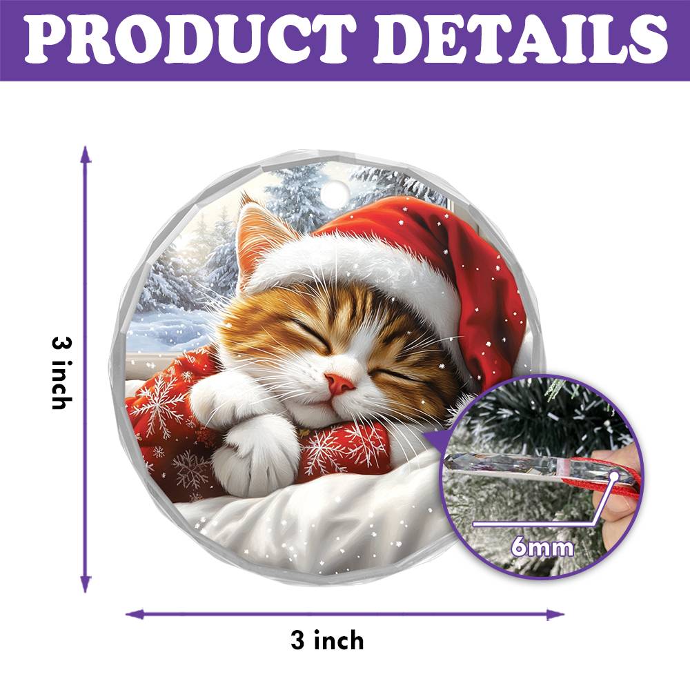 Persian cat Sleeping In Bed Design 3