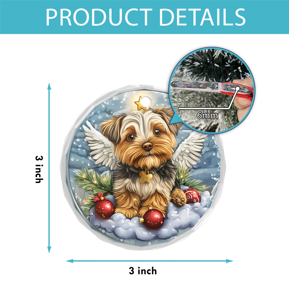 Angel Yorkshire Terrier Dog 3