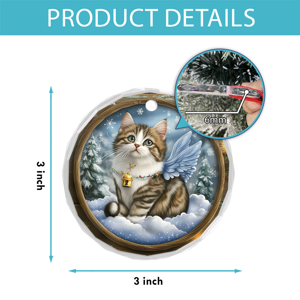 Angel Norwegian Forest Cat 3