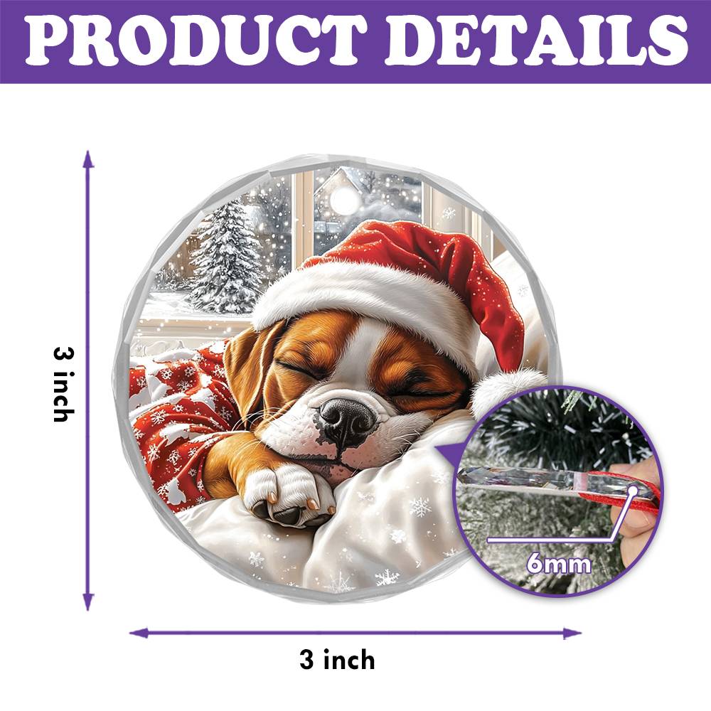 Boxer Dog Sleeping In Bed Design 3