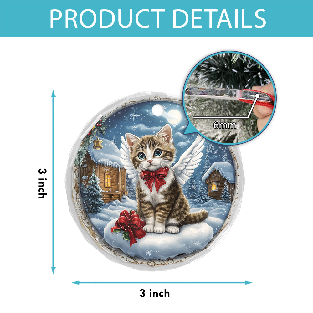Angel American Shorthair Cat 3