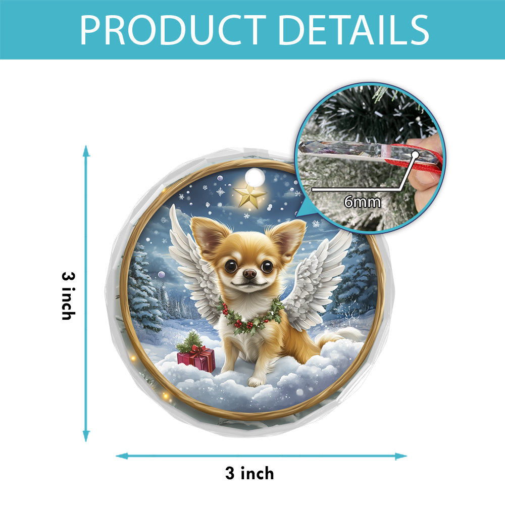 Angel Chihuahua Dog 3