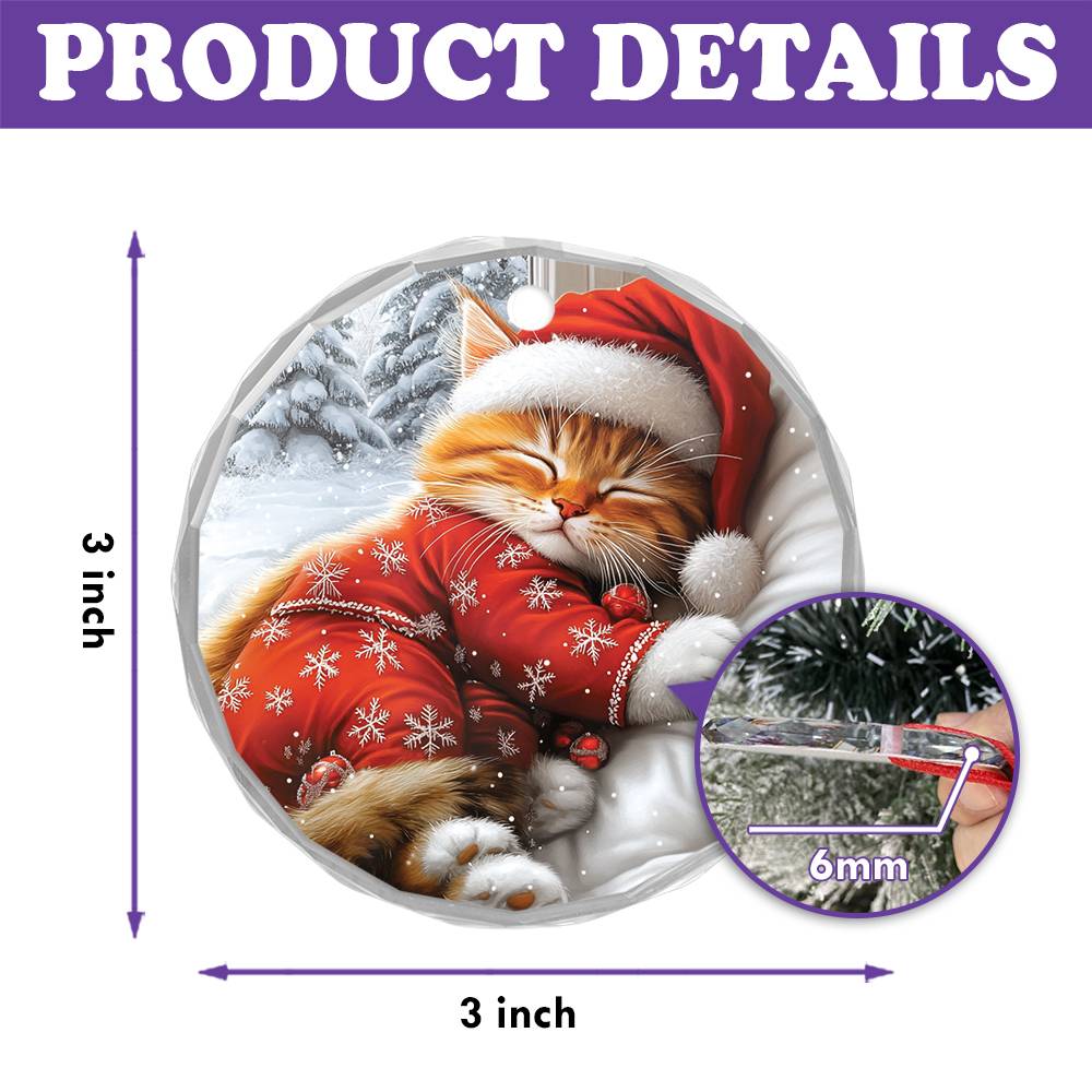 Persian cat Sleeping In Bed Design 2
