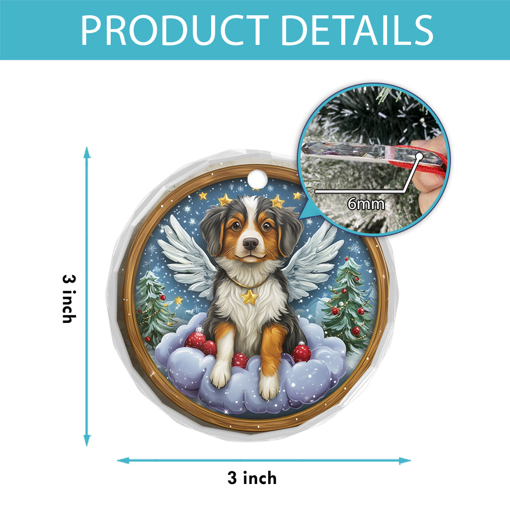 Angel Australian Shepherd Dog 3