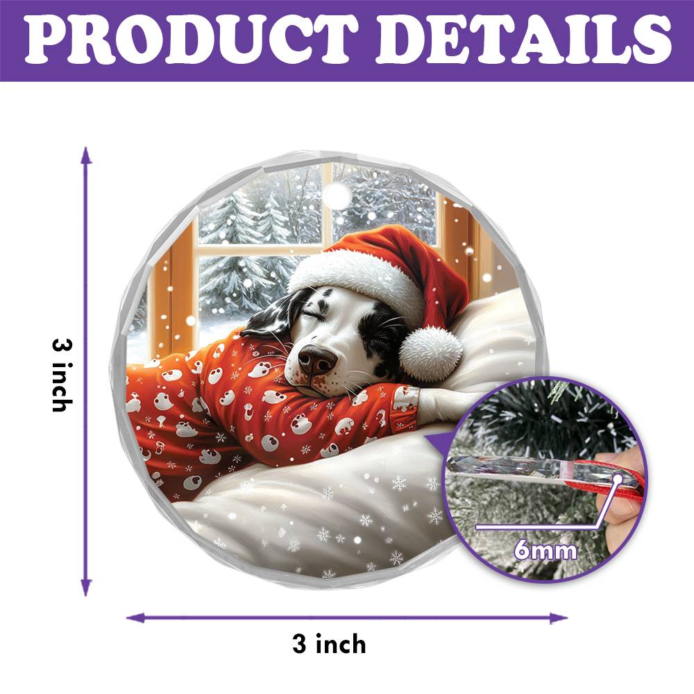 Dalmatian Dog Sleeping In Bed Design 4