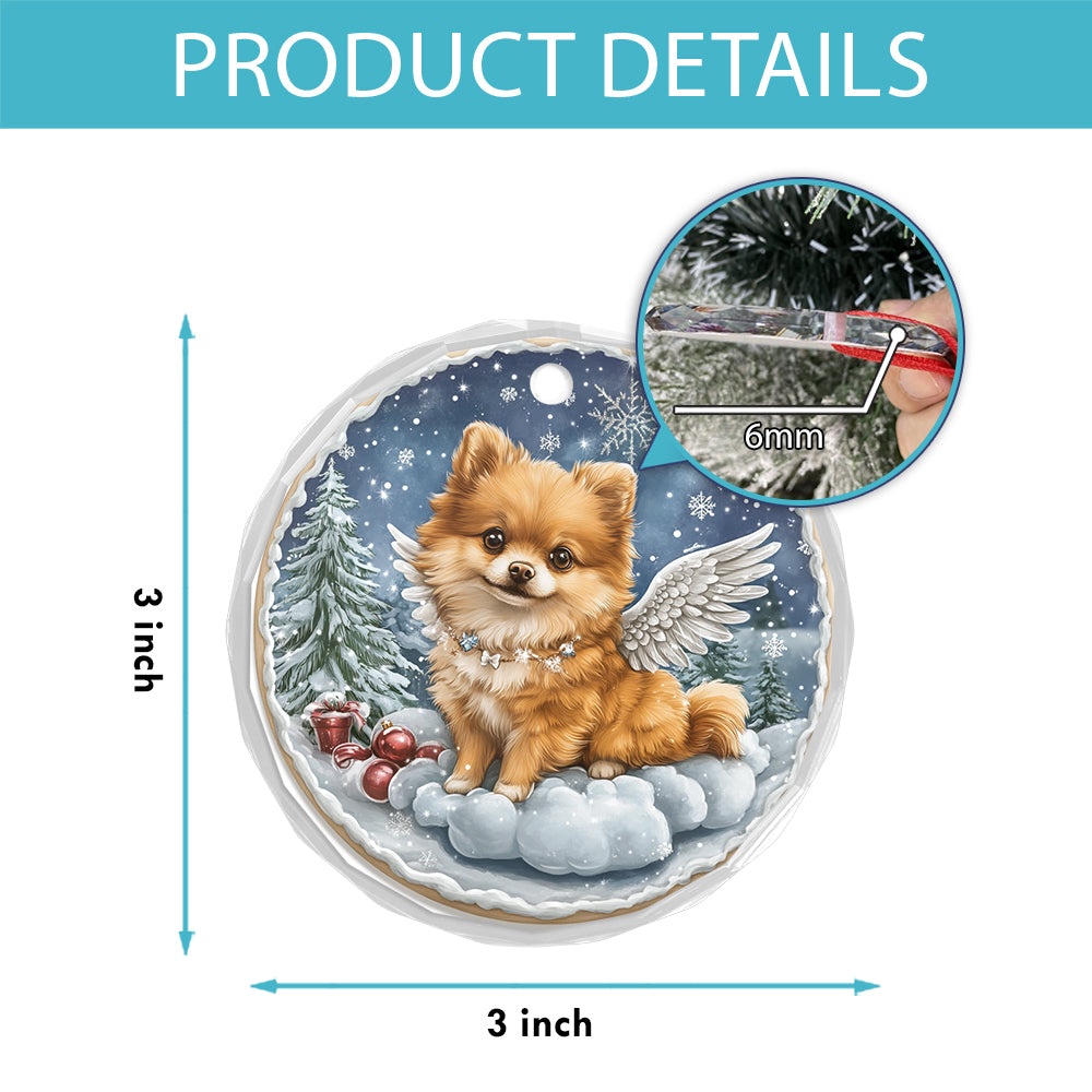Angel Pomeranian Dog 3
