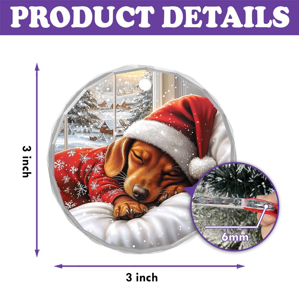 Dachshund Dog Sleeping In Bed Design 1