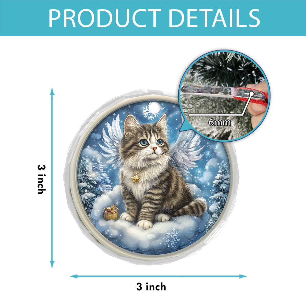 Angel Norwegian Forest Cat 1