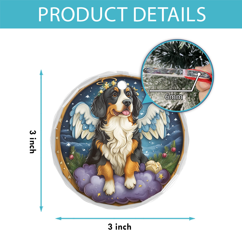 Angel Bernese Mountain Dog 2