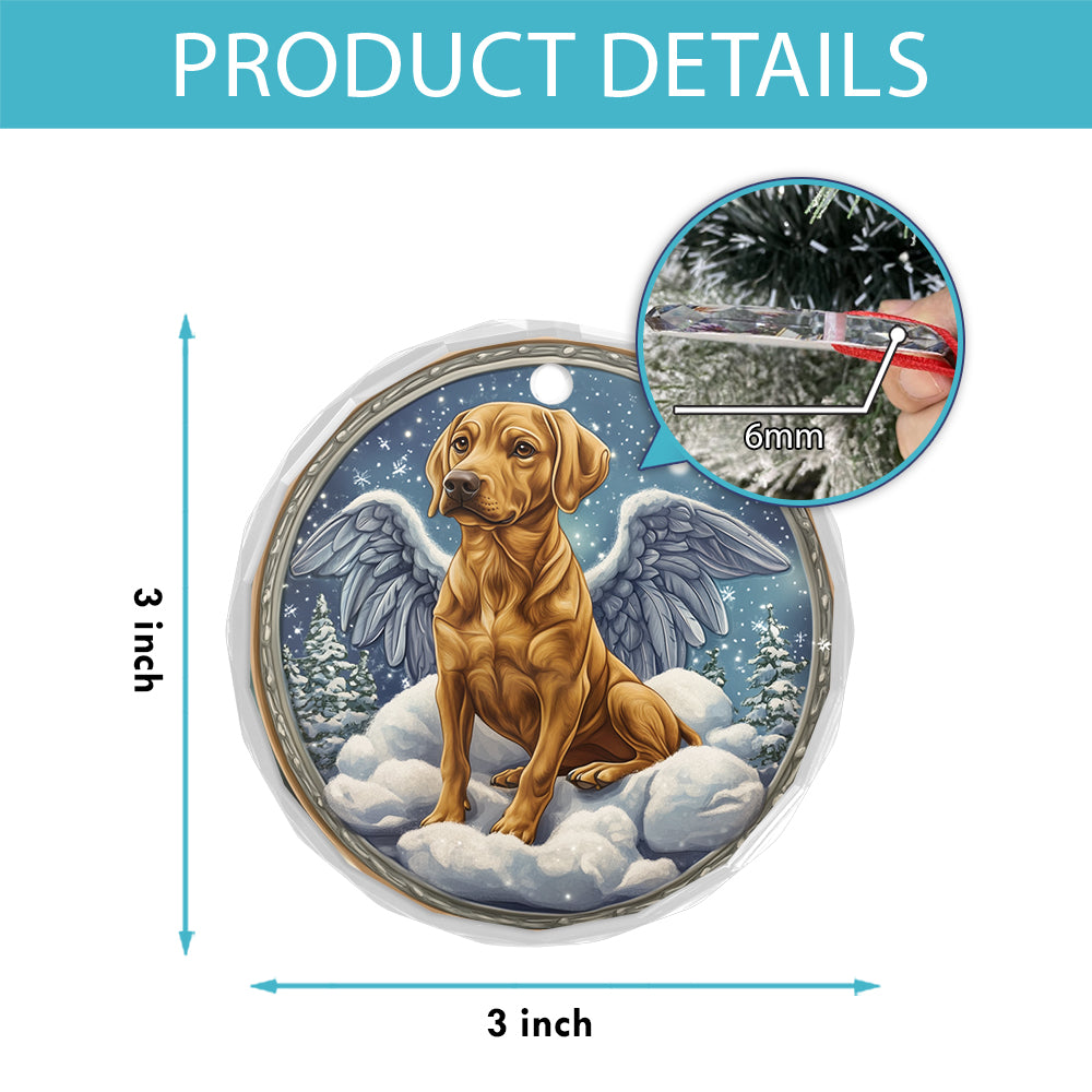 Angel Rhodesian Ridgeback Dog 3
