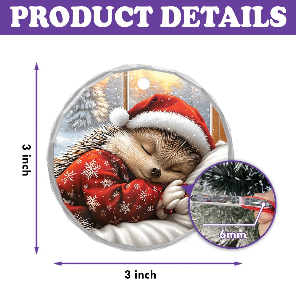 Hedgehog Sleeping In Bed Design 3