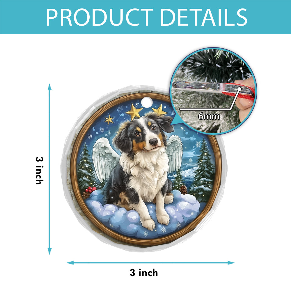 Angel Australian Shepherd Dog 2