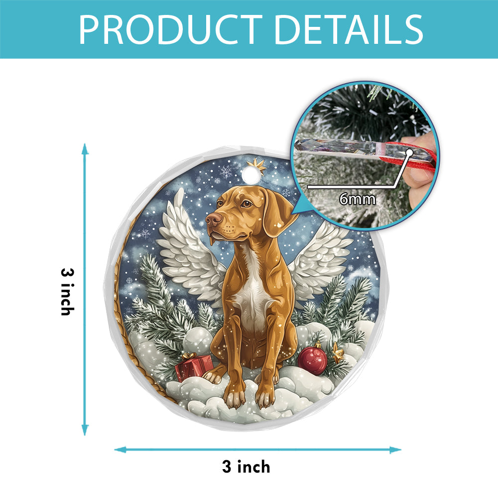 Angel Rhodesian Ridgeback Dog 1