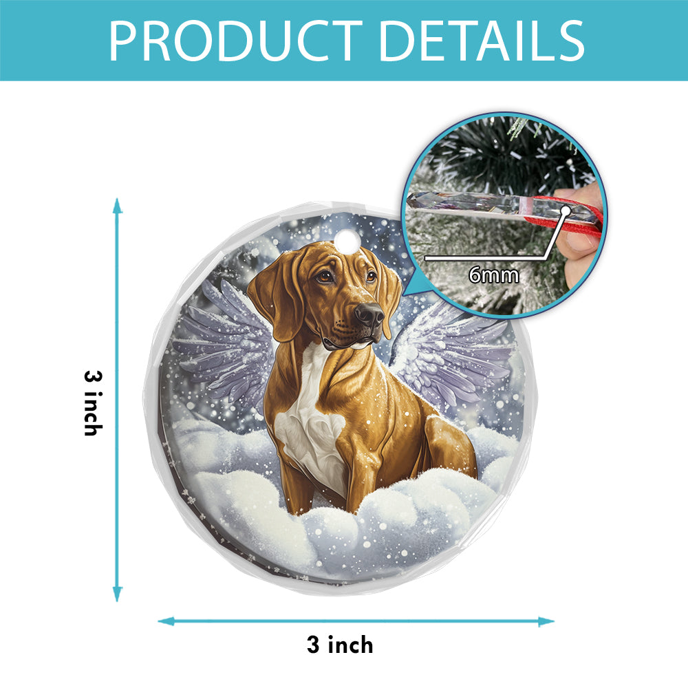 Angel Rhodesian Ridgeback Dog 4