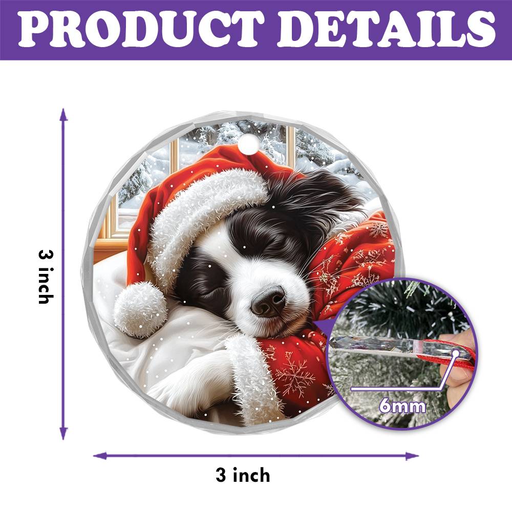 Border Collie Dog Sleeping In Bed Design 3