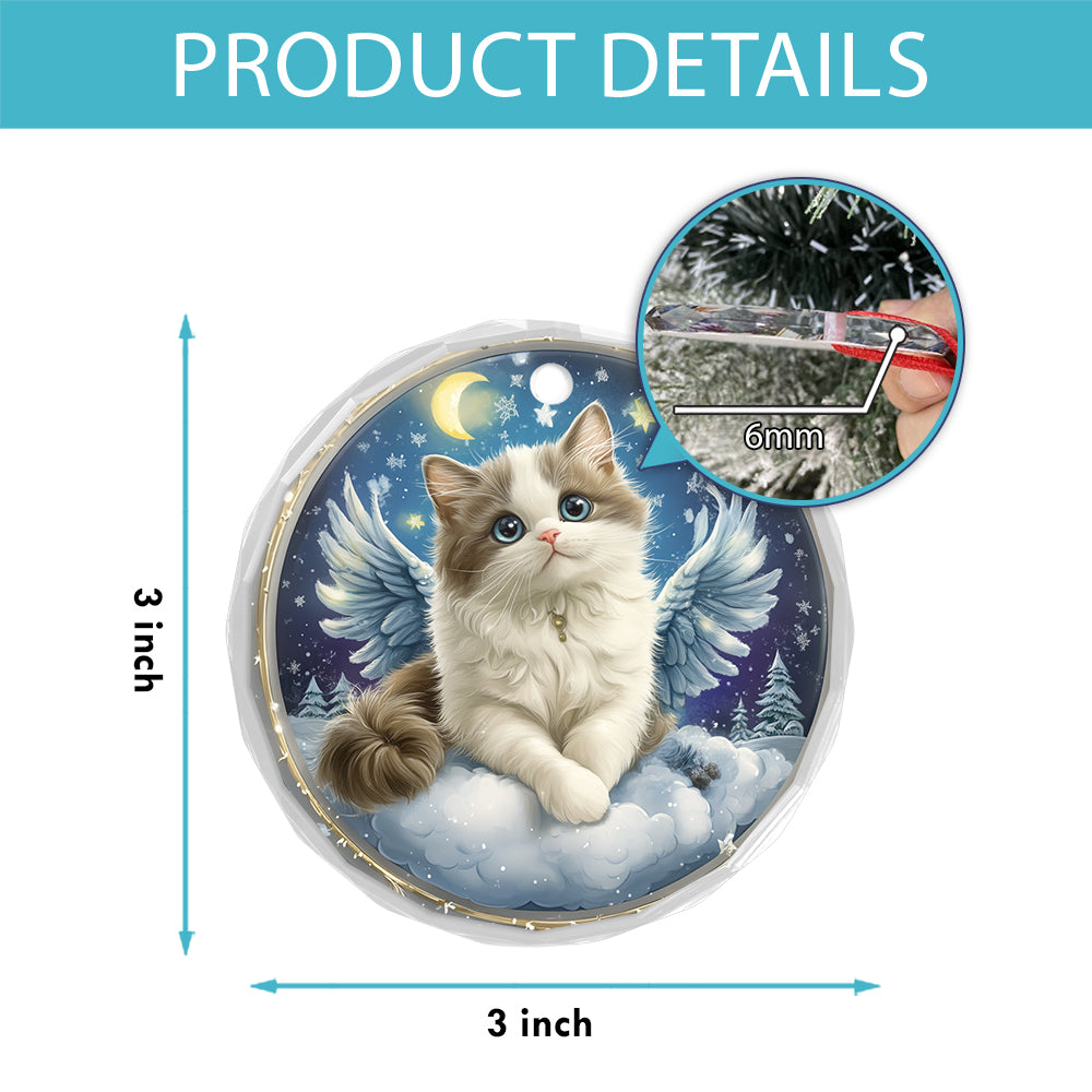 Angel Ragdoll Cat 1