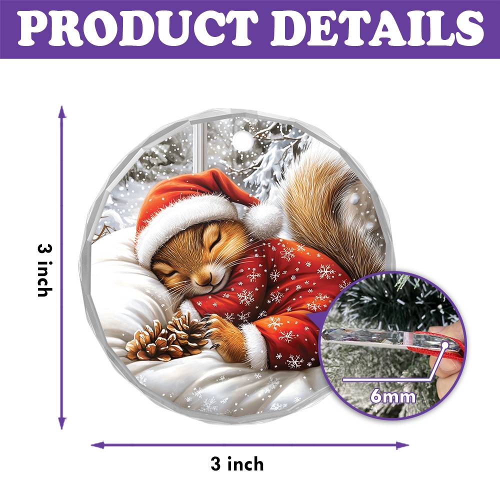Squirrel Sleeping In Bed Design 2