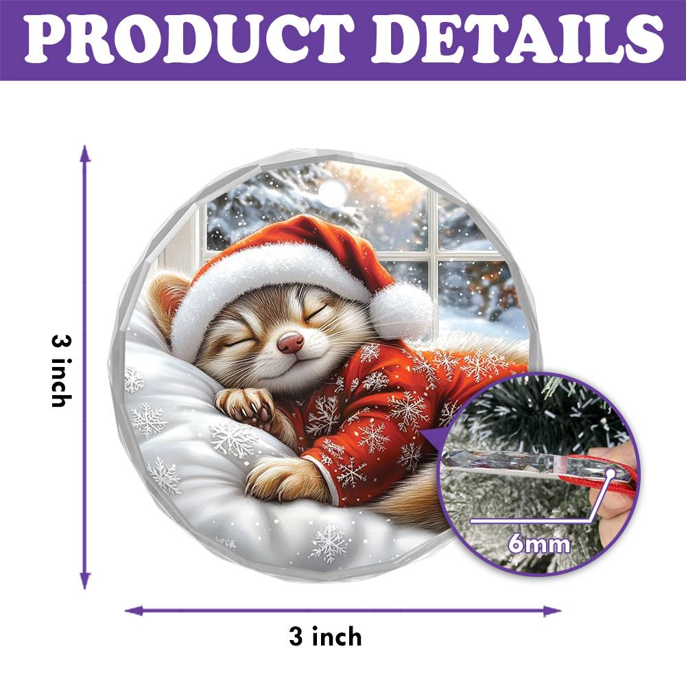 Ferret Sleeping In Bed Design 1
