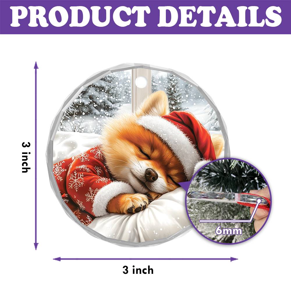 Pomeranian Dog Sleeping In Bed Design 2