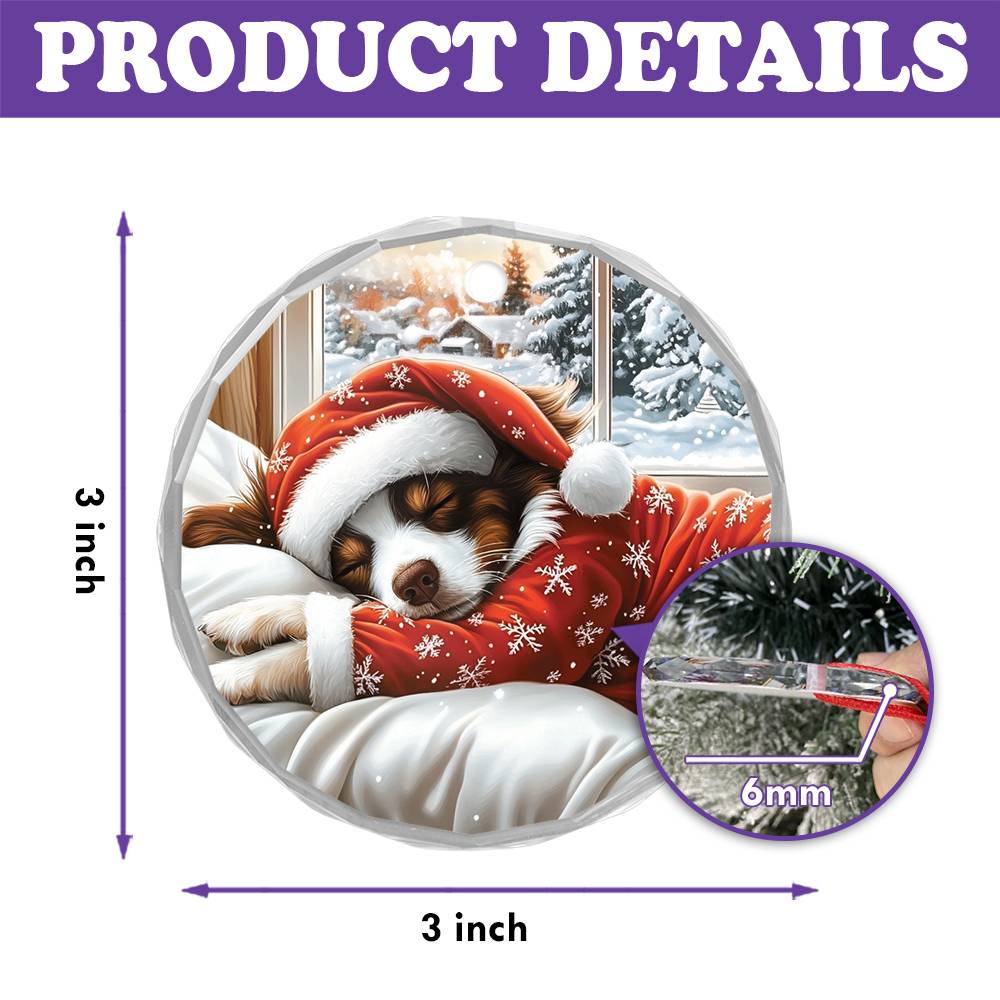 Border Collie Dog Sleeping In Bed Design 2