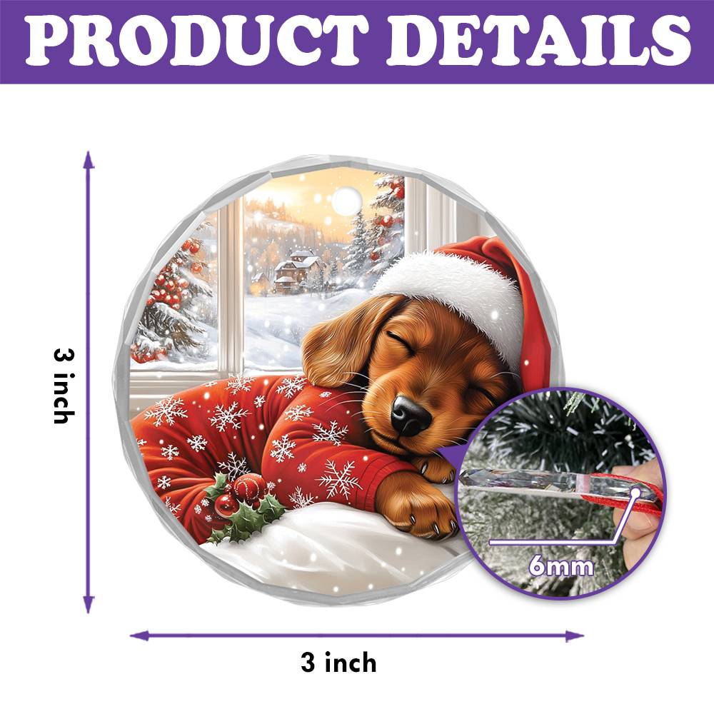 Dachshund Dog Sleeping In Bed Design 2