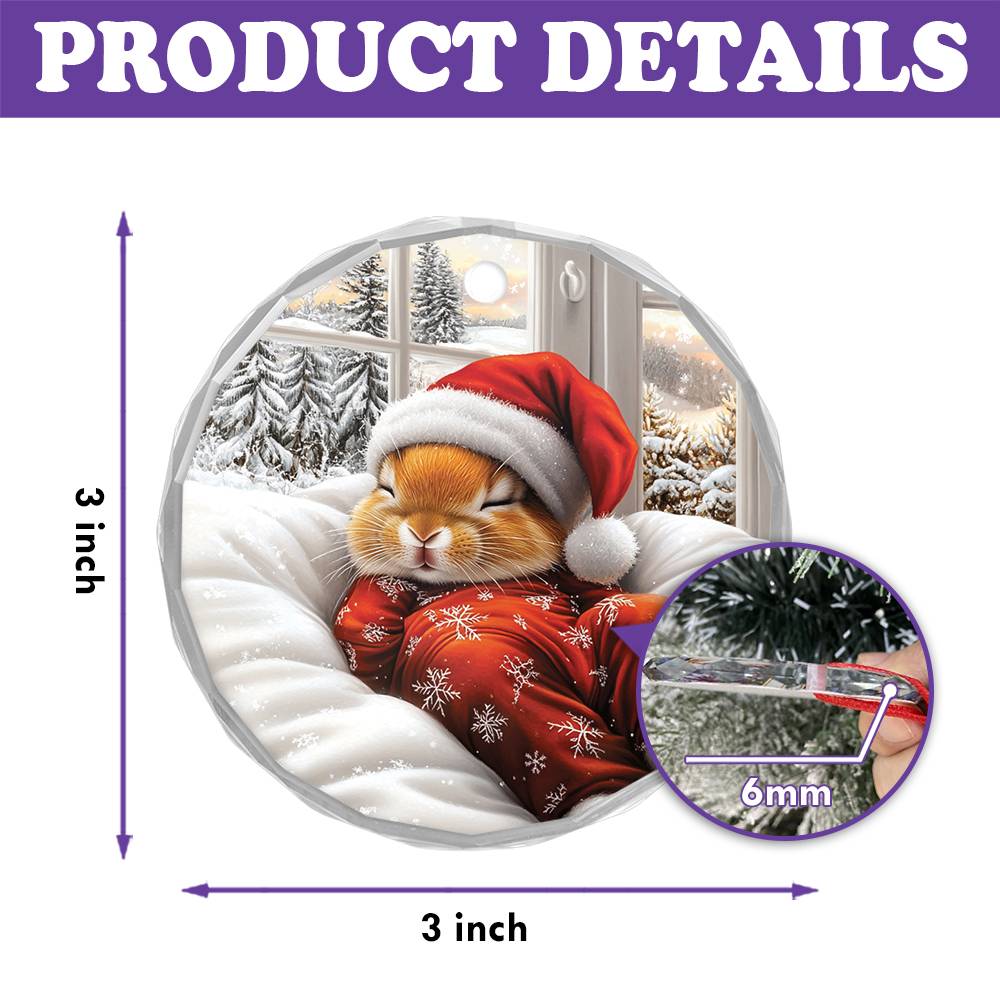 Rabbit Sleeping In Bed Design 4