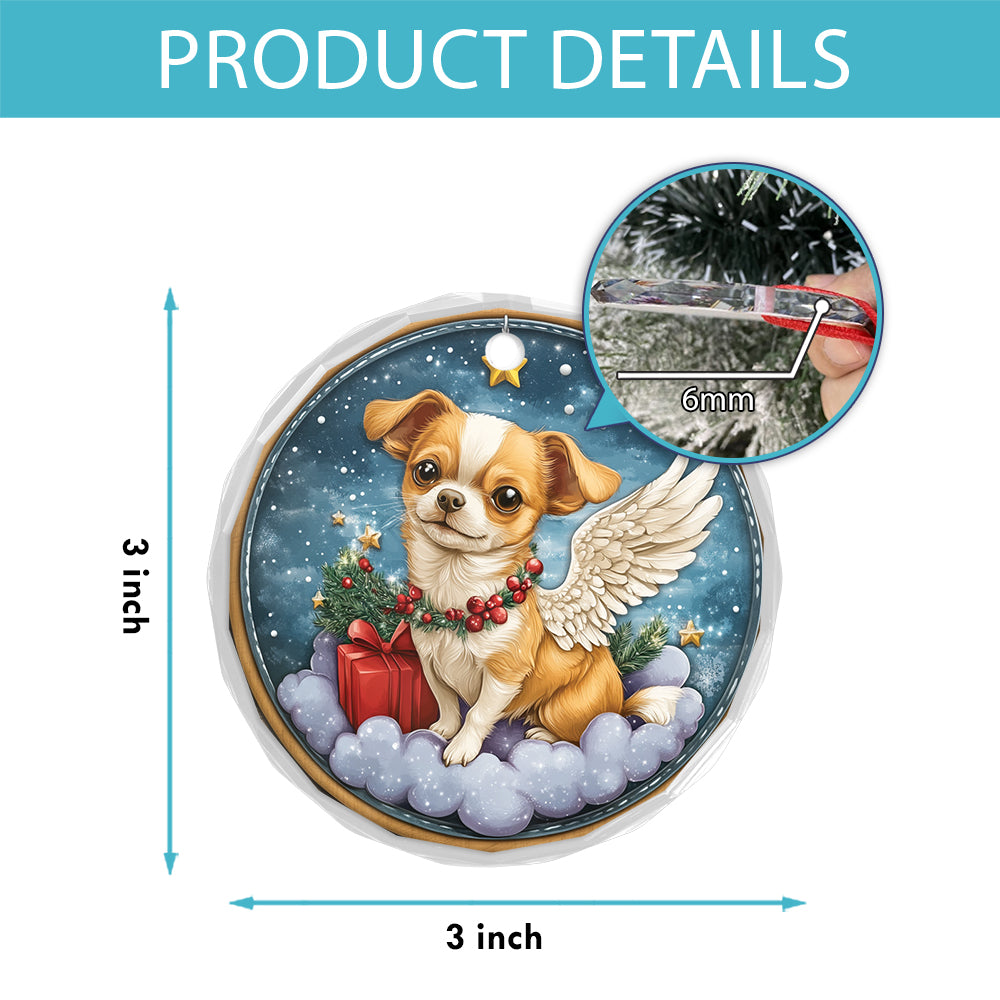 Angel Chihuahua Dog 1