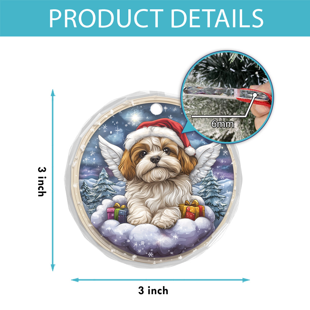 Angel Shih Tzu Dog 3