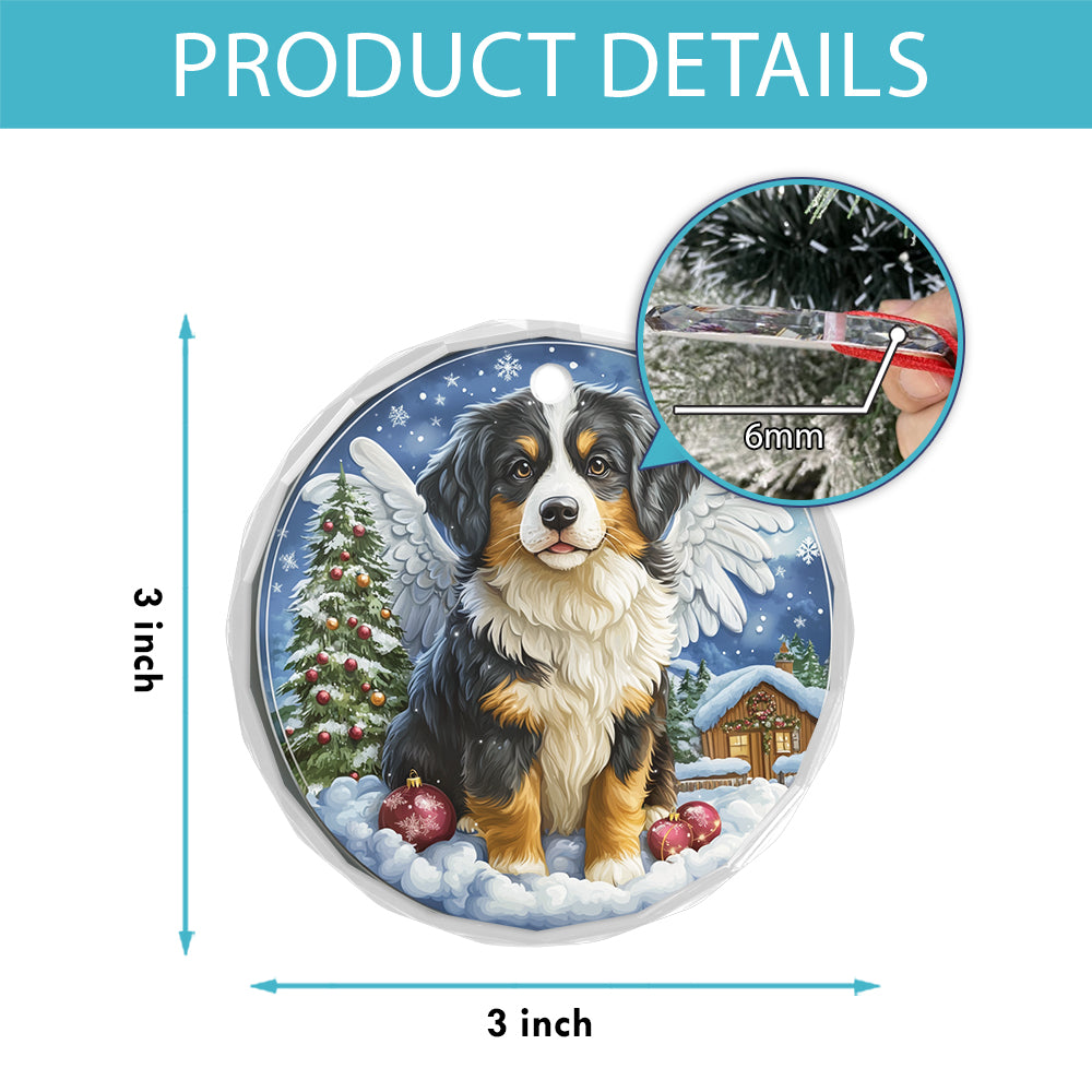 Angel Australian Shepherd Dog 4