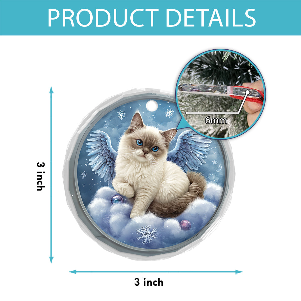 Angel Siamese Cat 1