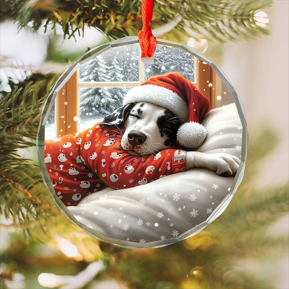 Dalmatian Dog Sleeping In Bed Design 4