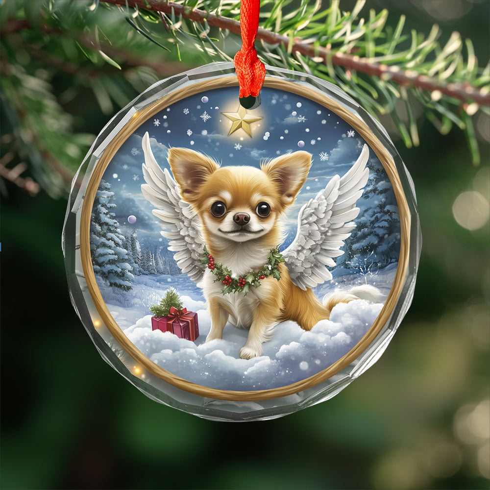 Angel Chihuahua Dog 3