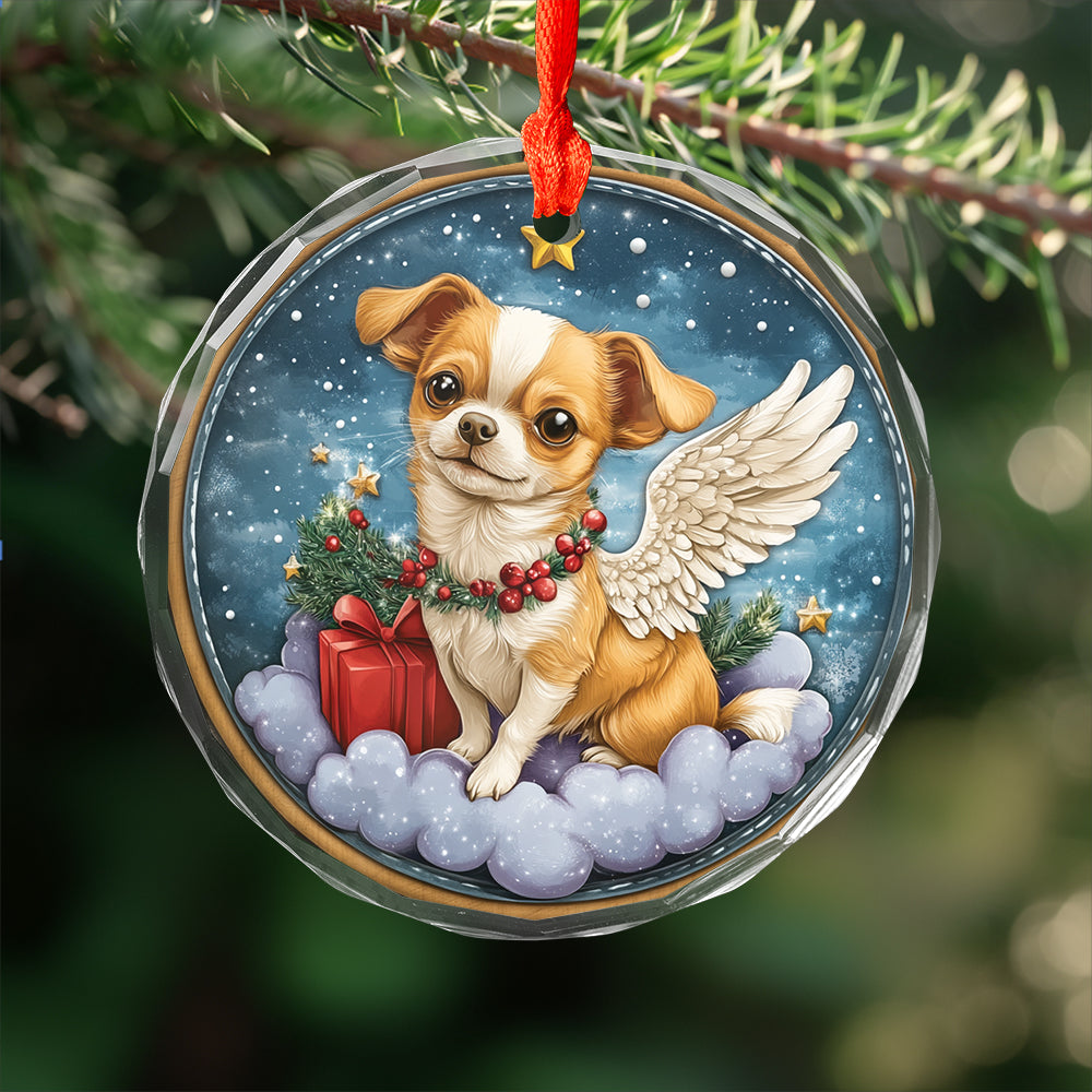Angel Chihuahua Dog 1