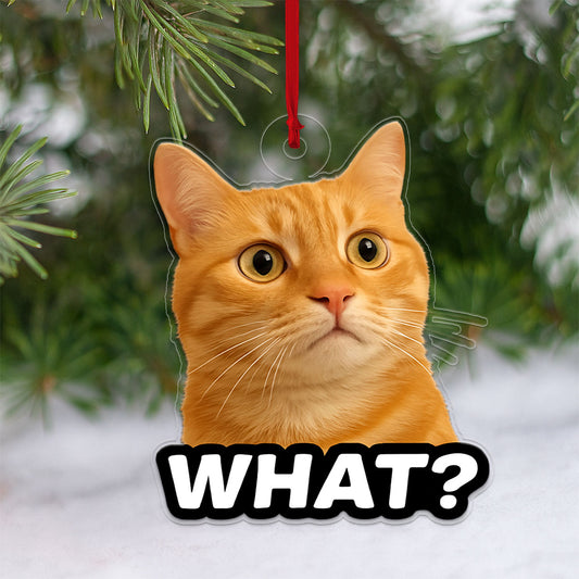 Custom Photo Funny Pet Ornament, Personalized Dog Cat Christmas Ornament, Pet Lover Holiday Decoration, Unique Animal Keepsake, Gag Gift