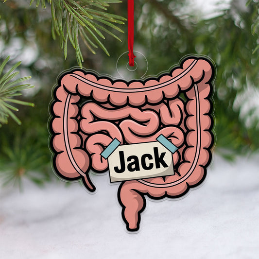 Personalized Intestines Ornament, Custom Anatomy Christmas Ornament, Medical Student Gift, Doctor Nurse Holiday Decoration, Unique Keepsake