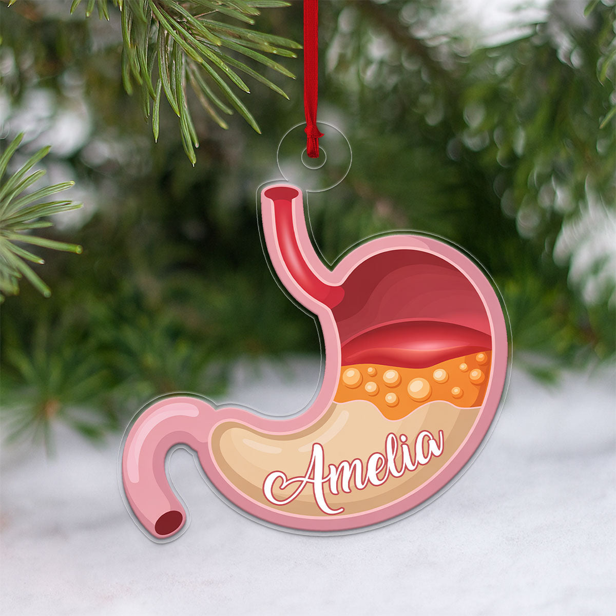 Custom Stomach Ornament, Personalized Funny Anatomy Christmas Ornament, Quirky Holiday Gift, Medical Humor Decoration, Unique Xmas Keepsake
