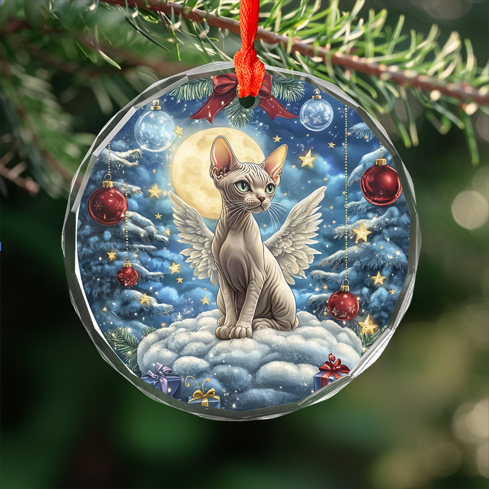 Angel Sphynx Cat 3