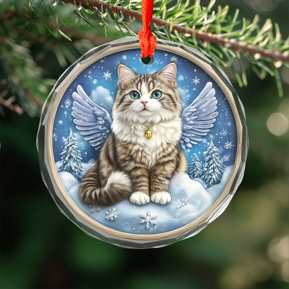 Angel Siberian Cat 4