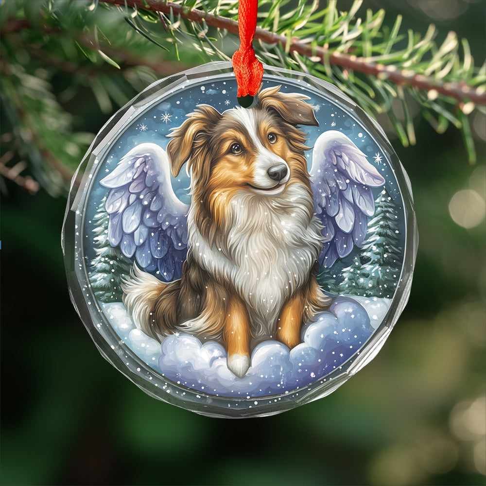 Angel Shetland Sheepdog 4