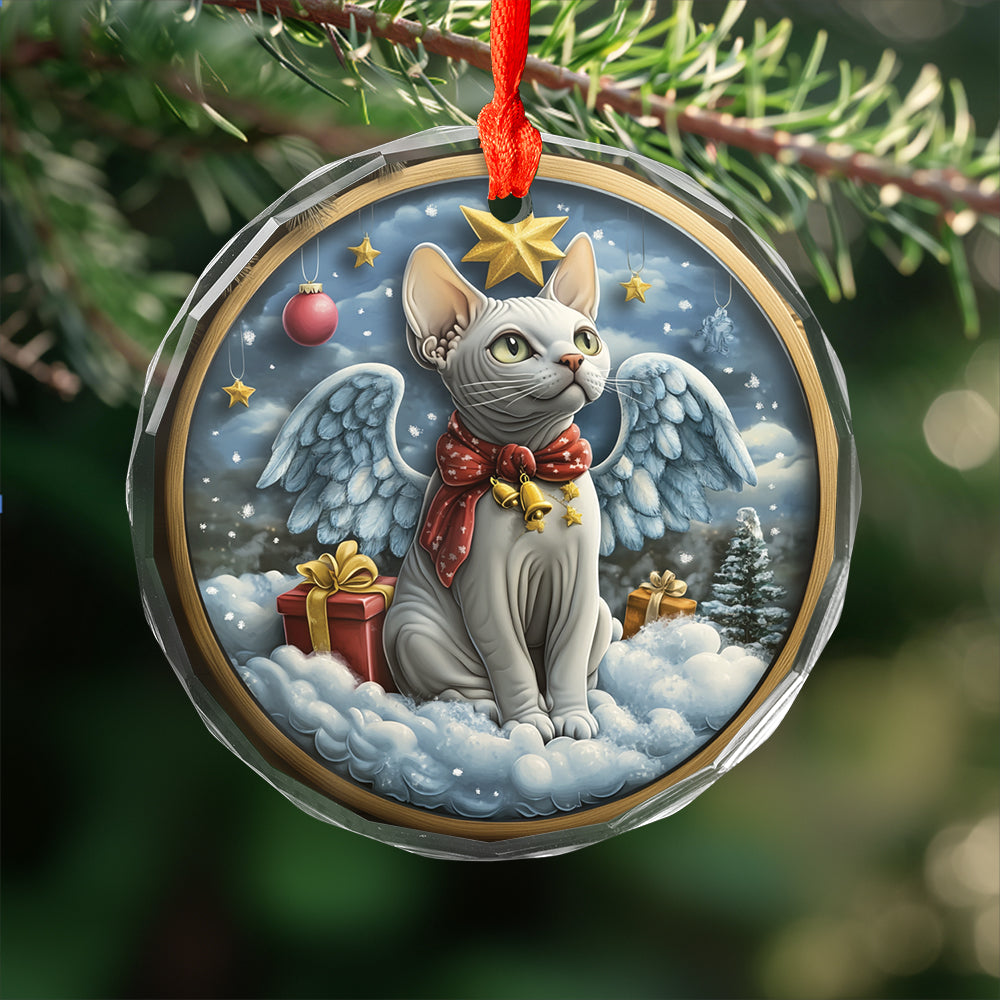 Angel Sphynx Cat 2