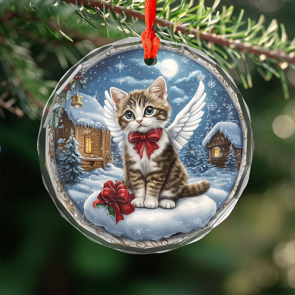Angel American Shorthair Cat 3