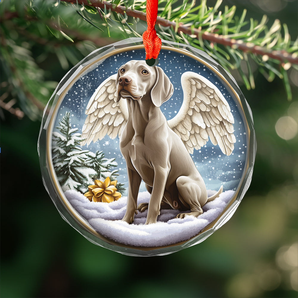 Angel Weimaraner Dog 1