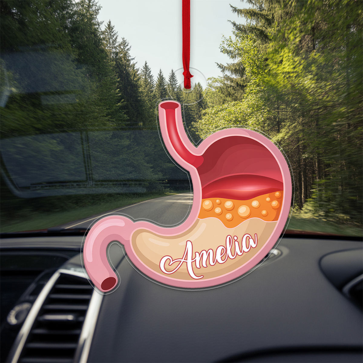 Custom Stomach Ornament, Personalized Funny Anatomy Christmas Ornament, Quirky Holiday Gift, Medical Humor Decoration, Unique Xmas Keepsake